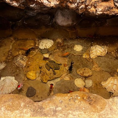 Hotel Casa De La Fuente Alcorisa Dış mekan fotoğraf